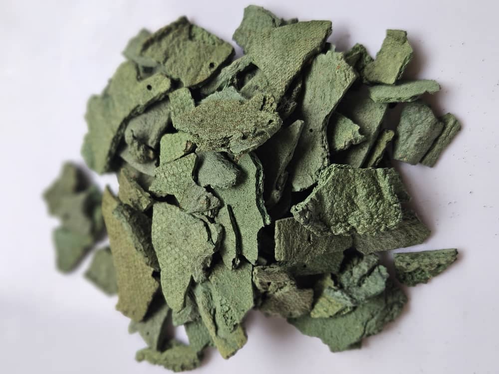 photo 2025 09 08 14 05 57 3