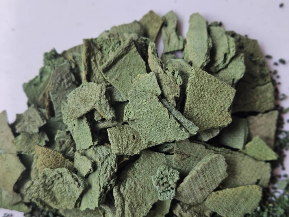 photo 2025 09 08 14 05 57