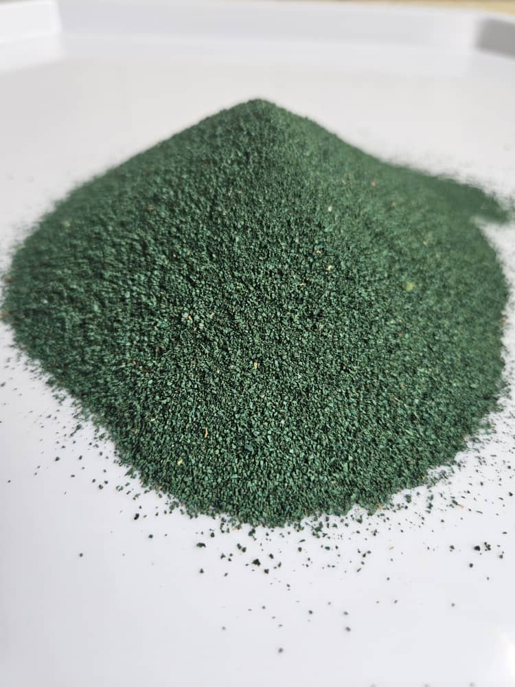 Poudre de spiruline