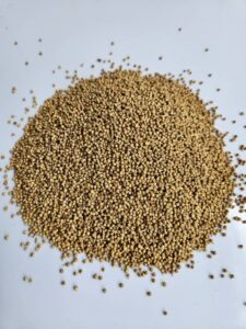 PHOTO-2025-09-08-14-05-47 2 Chebe chad croton de zambezi